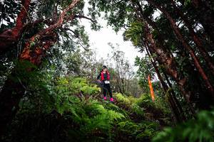 BIB: 
                            <button type="button" onclick="openModal(26203284)" class="btn btn-primary btn-sm float-right btn-popup" data-toggle="modal" data-target=".modal-high-quality">
                        <i class="fas fa-shopping-cart"></i> Add to Cart
                    </button>
                                            <button type="button" onclick="isThisMe(26203284, true)" class="btn btn-success btn-sm float-right btn-popup btn-isme hidden" data-toggle="tooltip" data-placement="bottom" title="นี่คือรูปของคุณใช่ไหม คลิกที่นี่เพื่อเอาเข้าอัลบั้ม">
                        <i class="fas fa-plus"></i> Add to album
                    </button>
                    <button type="button" onclick="isThisMe(26203284, false)" class="btn btn-warning btn-sm float-right btn-popup btn-isnotme hidden">
                        <i class="fas fa-ban"></i> Remove from album
                    </button>